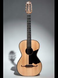 Parlor Guitar-01