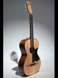 Parlor Guitar-02