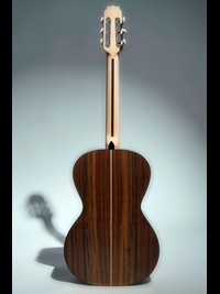 Parlor Guitar-03