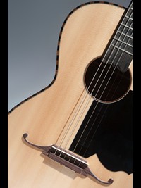 Parlor Guitar-04