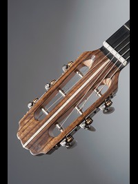 Parlor Guitar-05