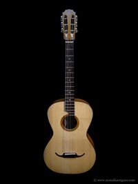 Parlor Guitar-01