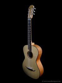 Parlor Guitar-02