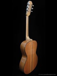 Parlor Guitar-03