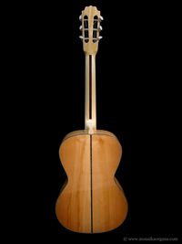 Parlor Guitar-04