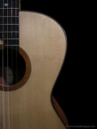 Parlor Guitar-05