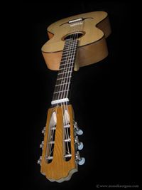 Parlor Guitar-06