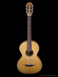 Parlor Guitar-01