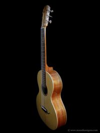 Parlor Guitar-02