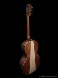 Parlor Guitar-03
