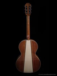 Parlor Guitar-04