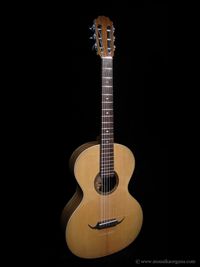 Parlor Guitar-05
