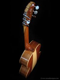 Parlor Guitar-06