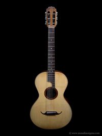 Parlor Guitar-01