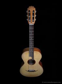 Parlor Guitar-02