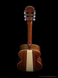 Parlor Guitar-03