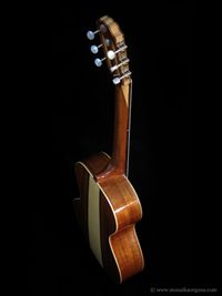 Parlor Guitar-04
