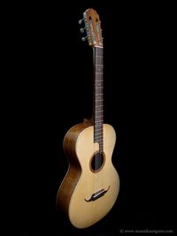 Parlor Guitar-05