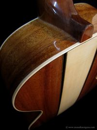 Parlor Guitar-06