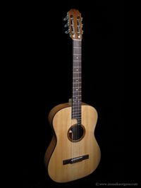 Parlor Guitar-01