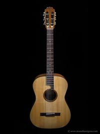 Parlor Guitar-02