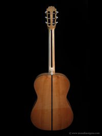 Parlor Guitar-03
