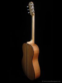 Parlor Guitar-04