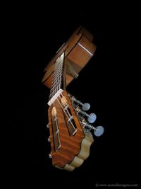 Parlor Guitar-05