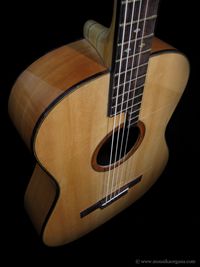 Parlor Guitar-06