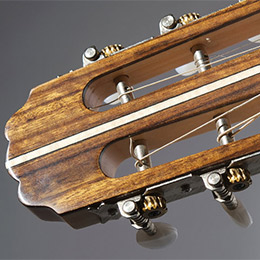 Parlor Guitar